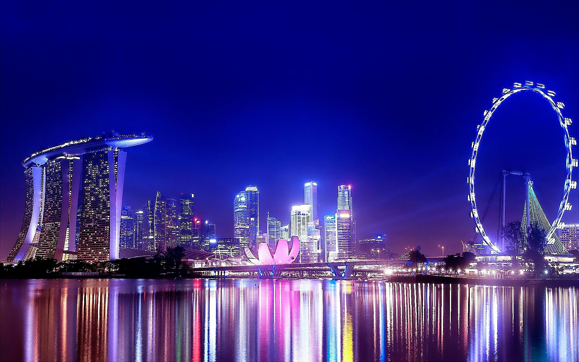 Singapore Extravaganza: STFD-2502