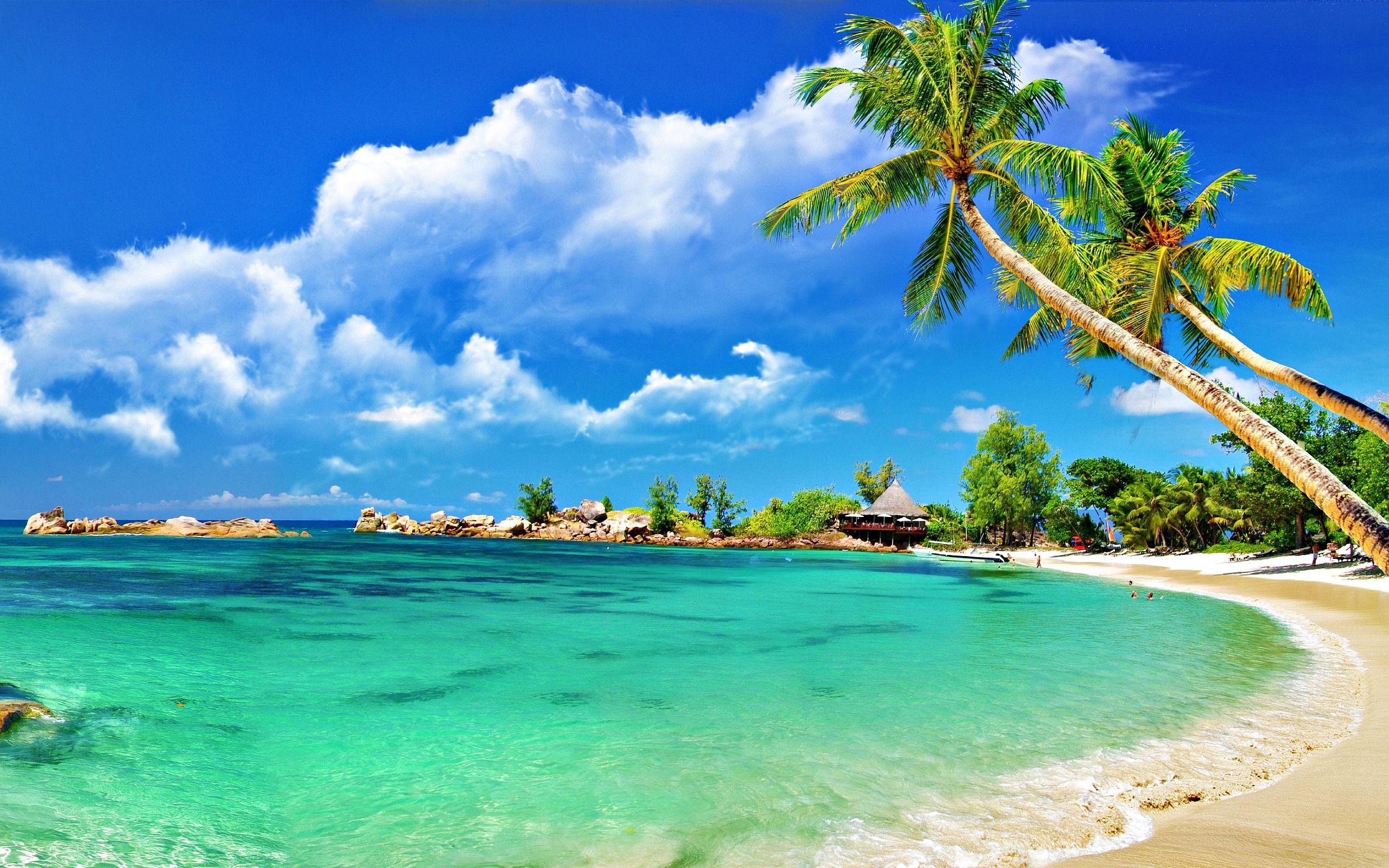 Awesome Andaman: STIN-2515