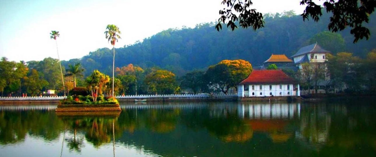 Sri Lanka Nature: STL-2527